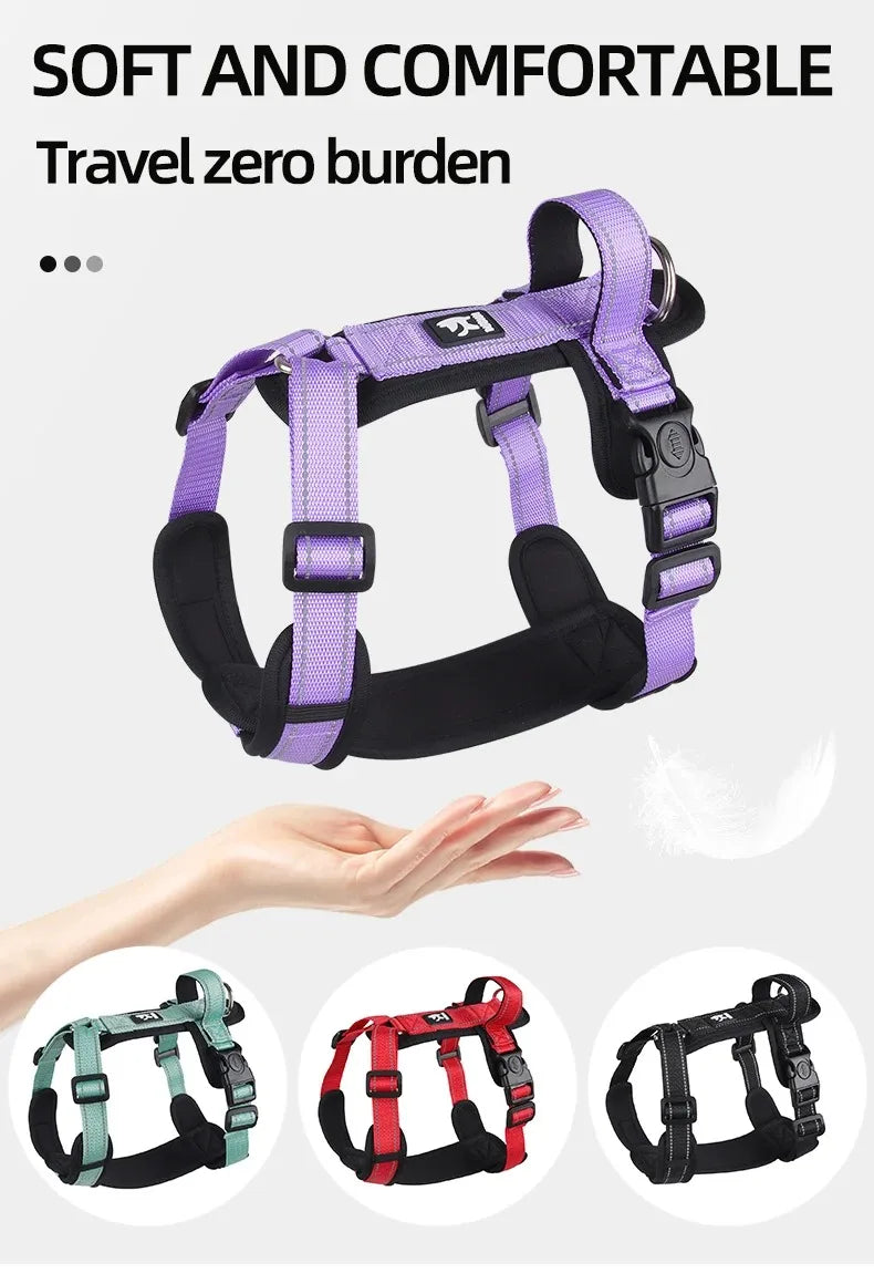 Ensemble Harnais, Laisse et Collier Classique pour Chien