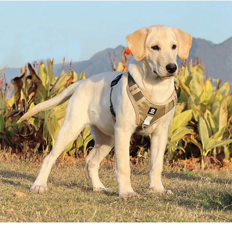 Harnais Tactique Oxford Imperméable Anti-Traction pour Grand Chien