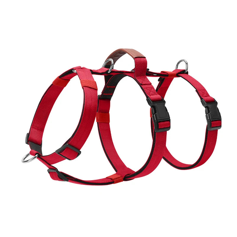 Harnais Anti-Traction Nylon pour Grand Chien - Entraînement
