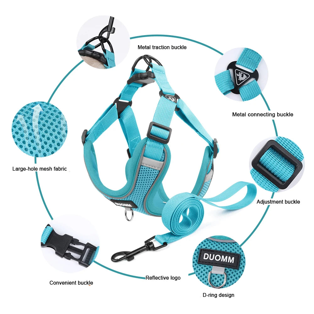 Ensemble Harnais et Laisse Classique et Doux pour Chien - Toutes Races
