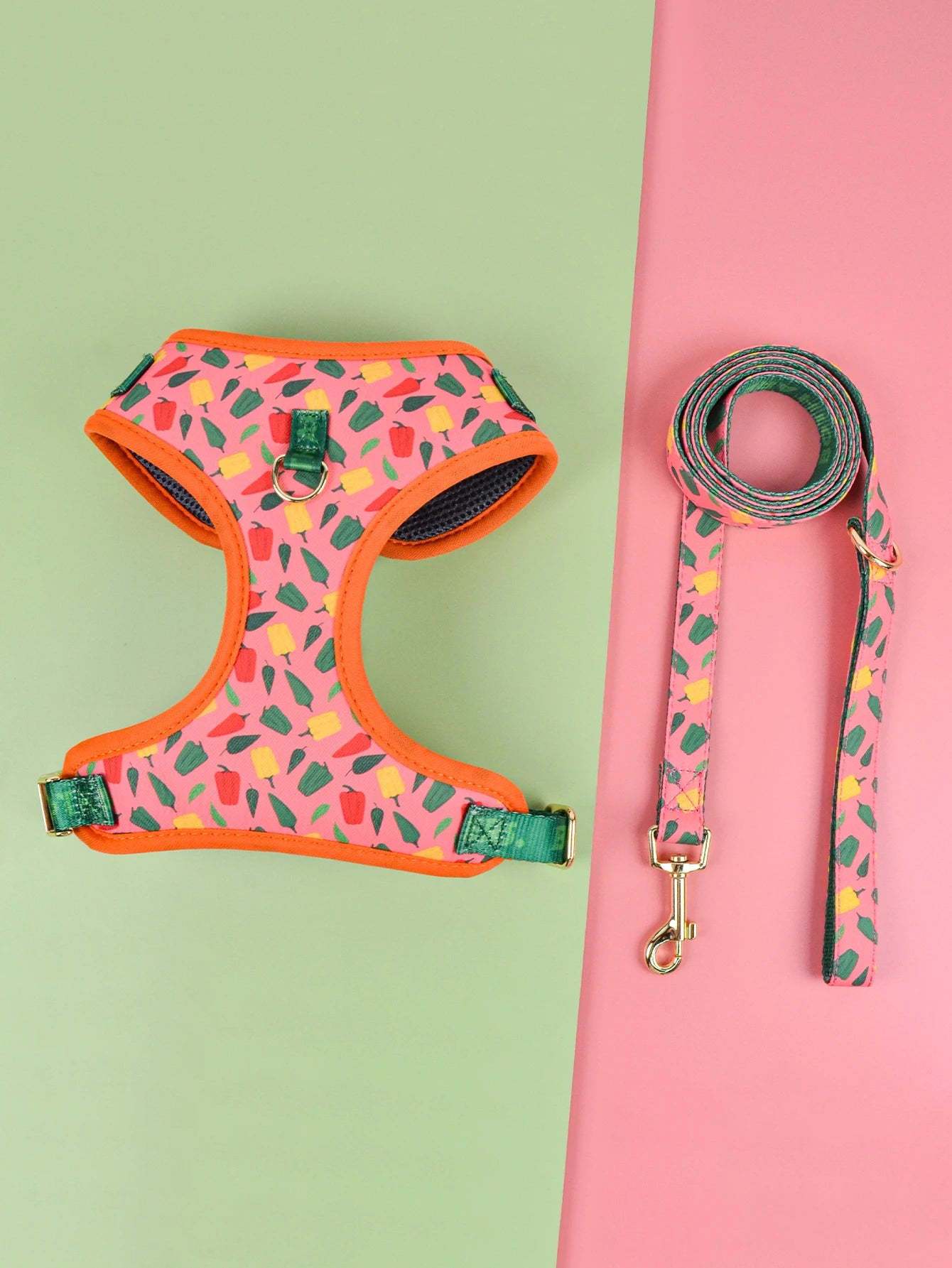 Harnais de Luxe Cadeau pour Chien - Design Mignon, avec Laisse