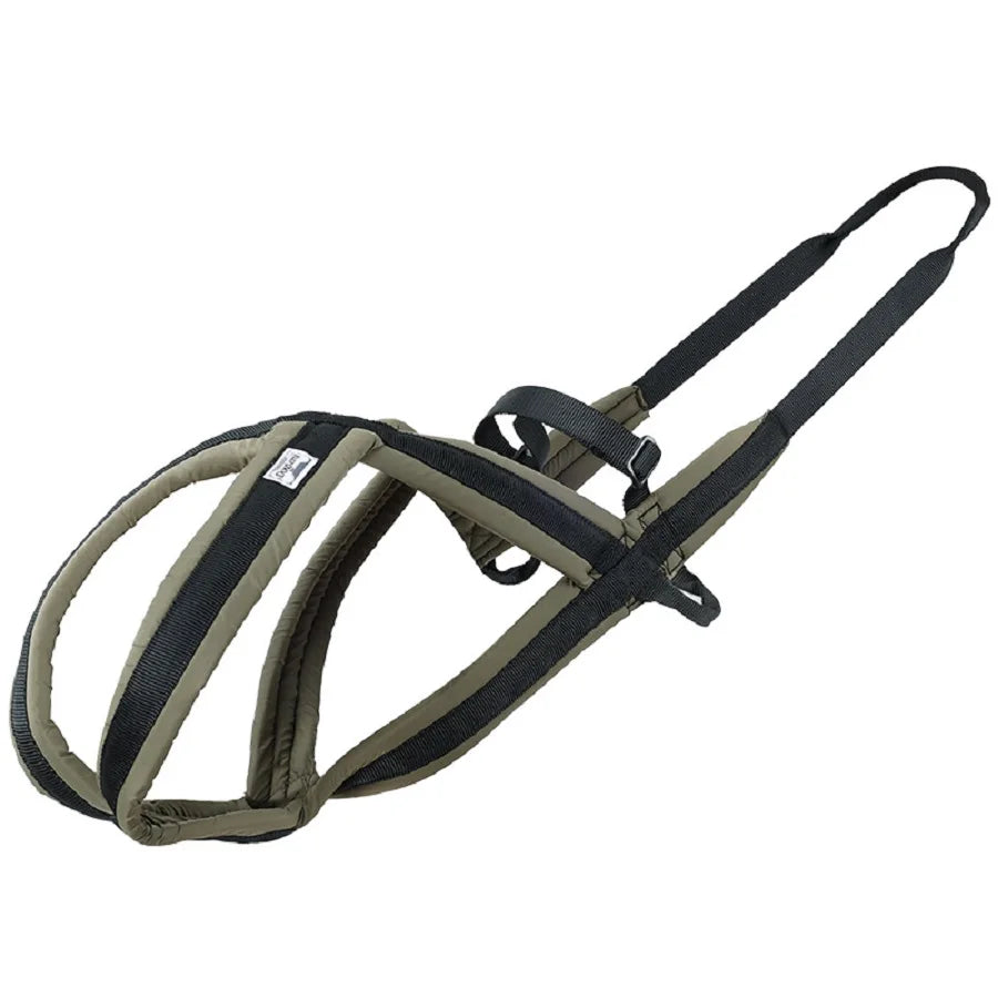 Ensemble Harnais et Laisse Extérieur pour Chien Moyen/Grand