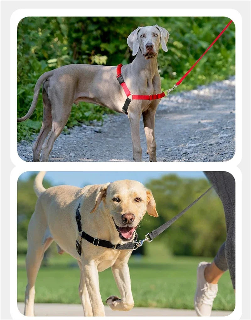 Harnais Anti-Rupture en Nylon Solide pour Chien Moyen/Grand - Husky