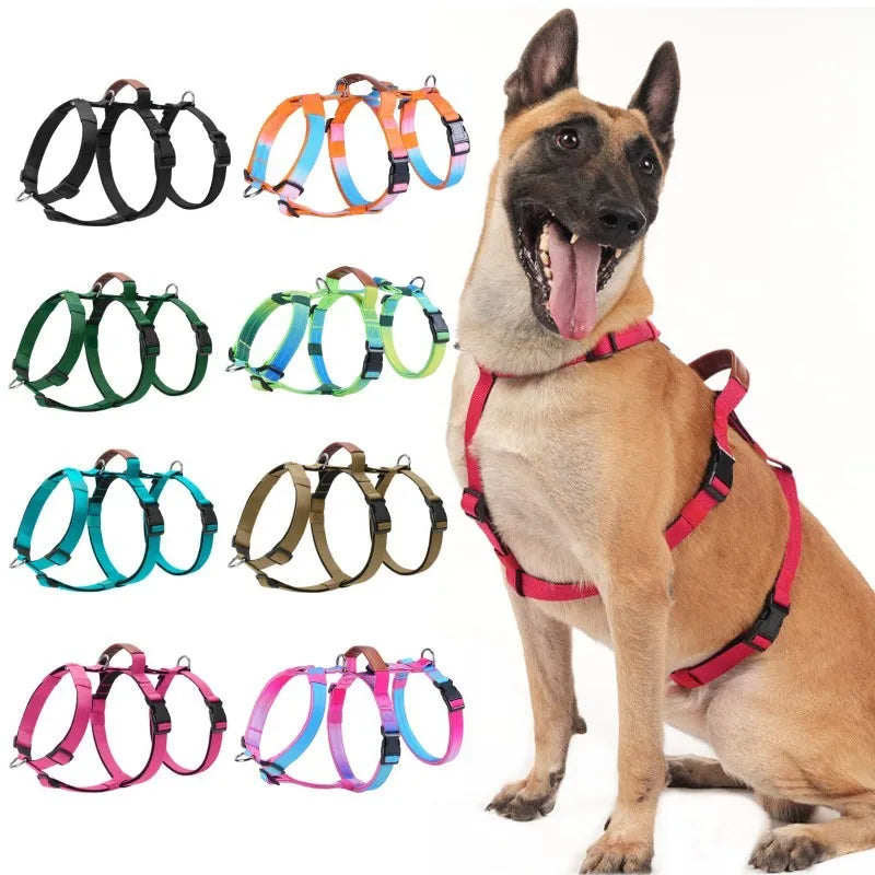 Harnais Anti-Traction Nylon pour Grand Chien - Entraînement