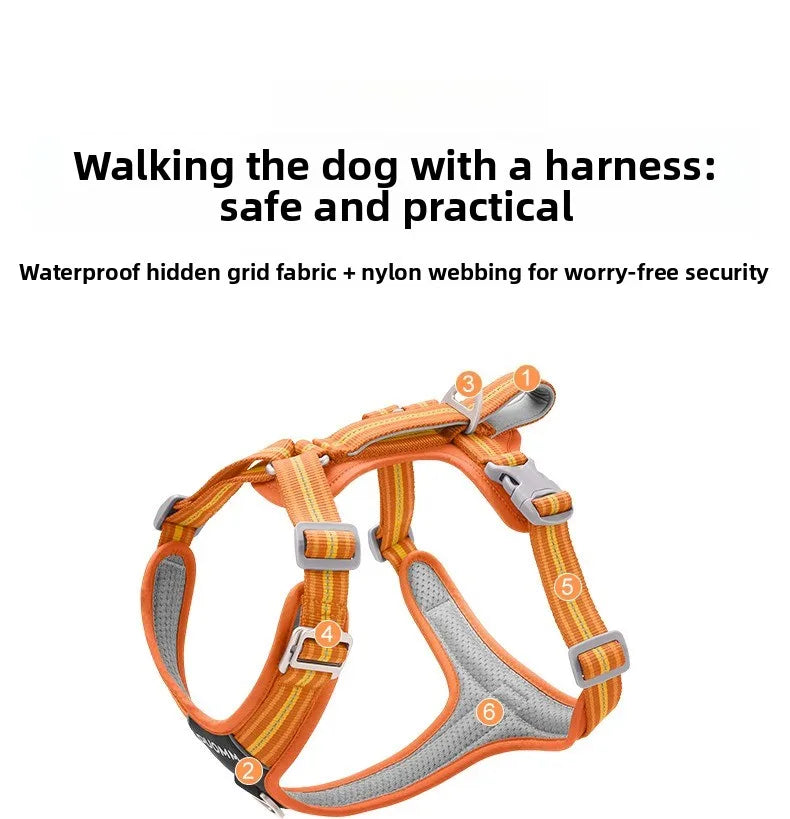 Harnais de Sécurité Double Poignée pour Chien - Dégagement Rapide