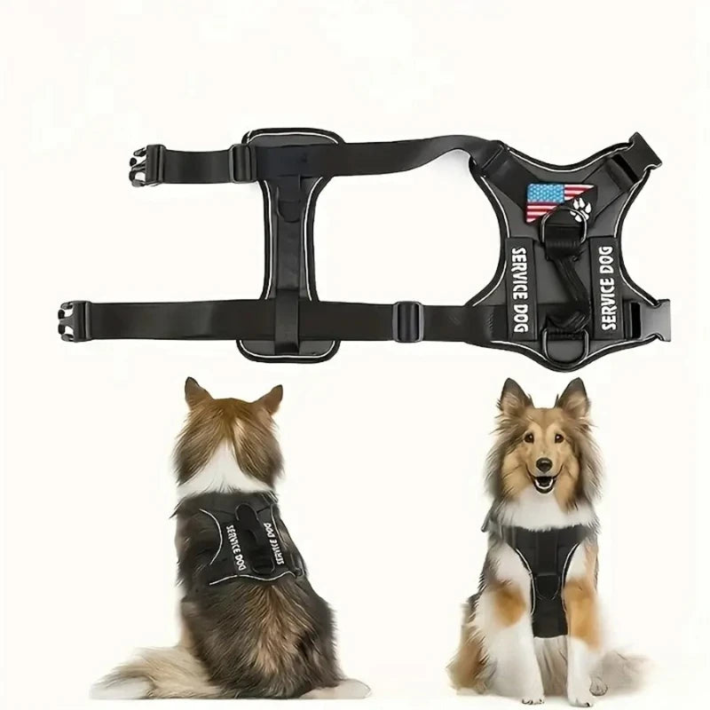 Harnais et Laisse Anti-Évasion Réfléchissants - Petit/Moyen Chien