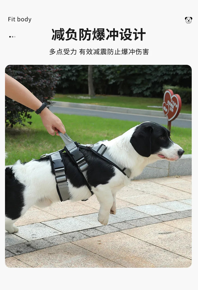 Harnais et Laisse Anti-Évasion Robuste pour Chien - Idéal Corgi