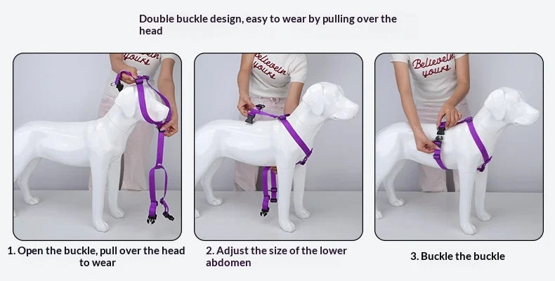 Harnais et Laisse Nylon Résistant pour Grand Chien