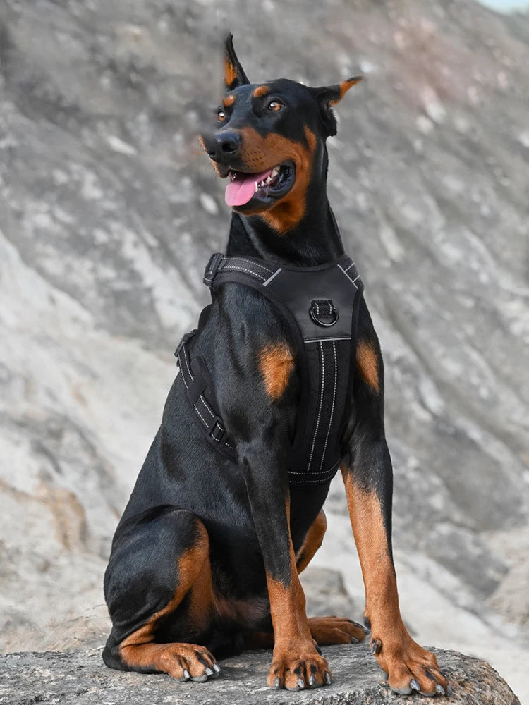 Harnais Rembourré Sans Étranglement pour Petit et Grand Chien