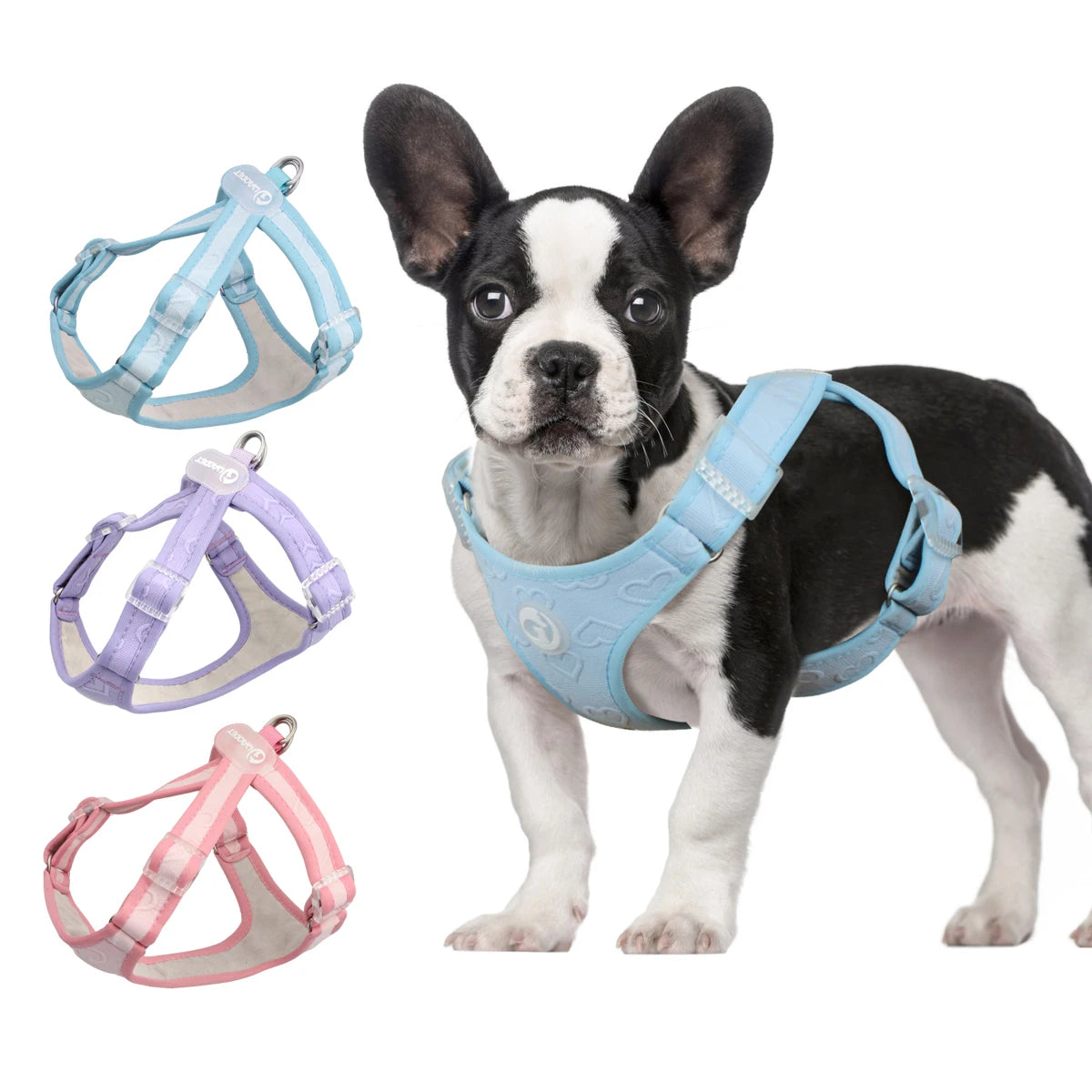 Gilet Nylon Sans Traction pour Petit Chien - Léger et Confortable