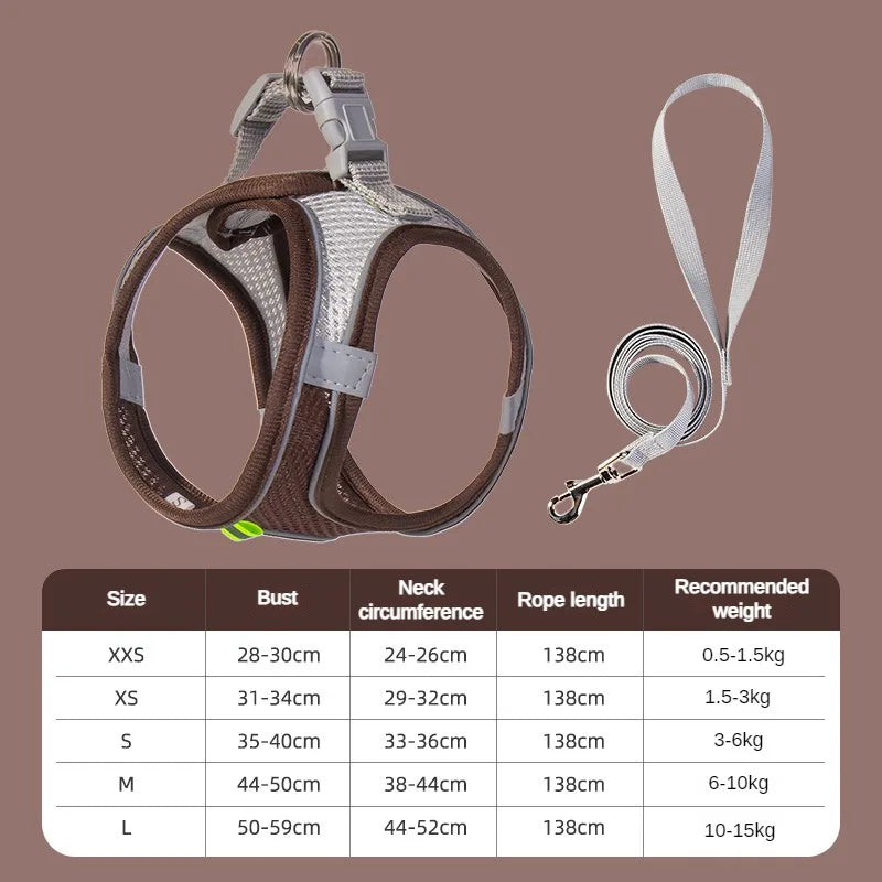 Ensemble Accessoires Réglables pour Chiots et Chats - Bouledogue, Chihuahua