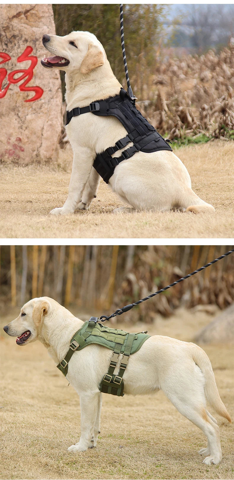 Harnais Tactique avec Poignée et Laisse pour Rottweiler