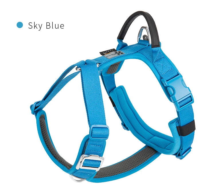 Ensemble Harnais et Laisse Anti-Traction pour Grand Chien