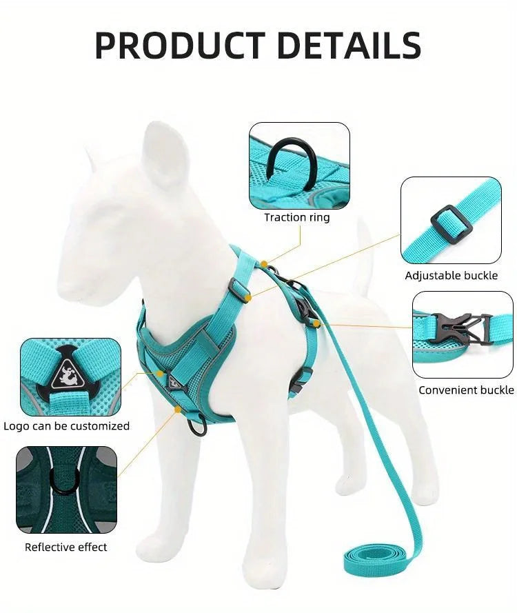 Ensemble Harnais et Laisse Anti-Traction pour Petit Chien et Chat - Réfléchissant