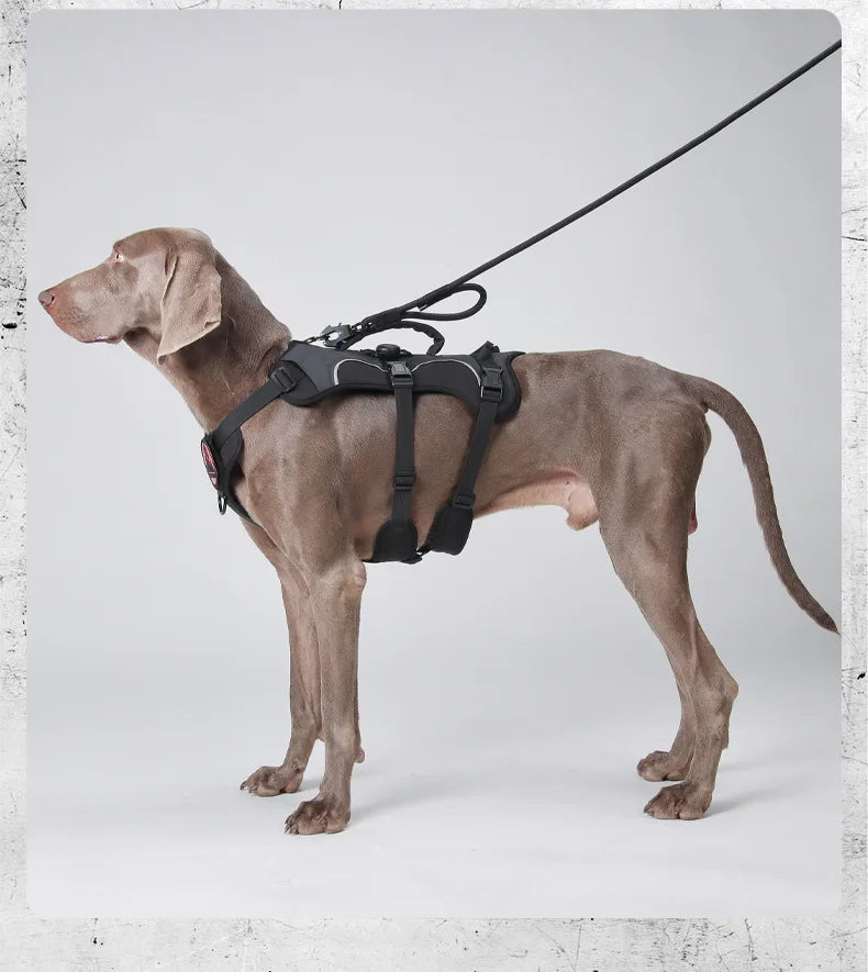 Harnais Anti-Évasion Réfléchissant avec Localisateur pour Chien