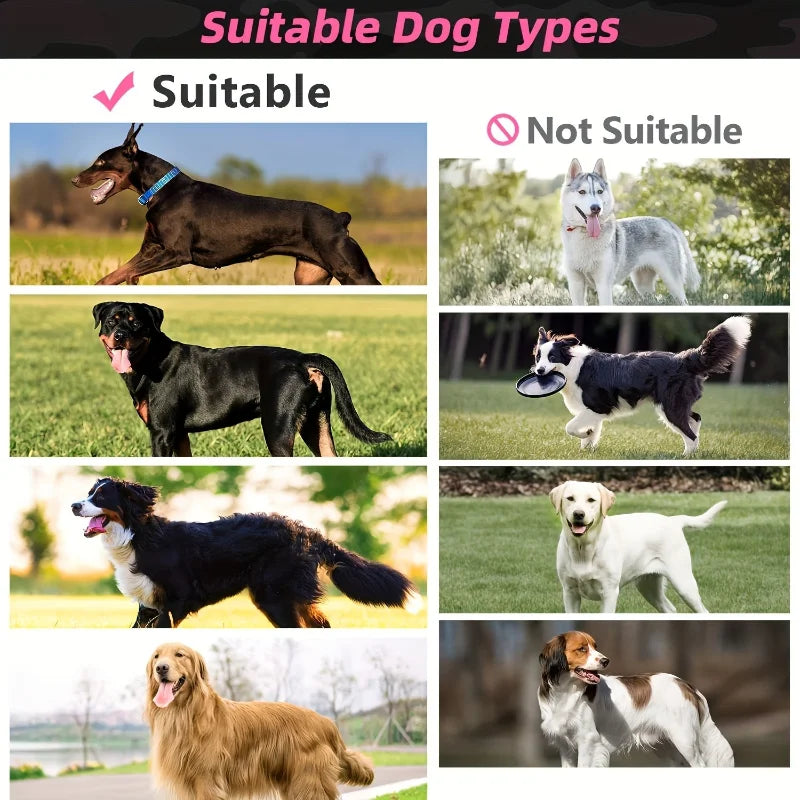 Harnais Tactique Robuste pour Chien - Recherche et Sauvetage
