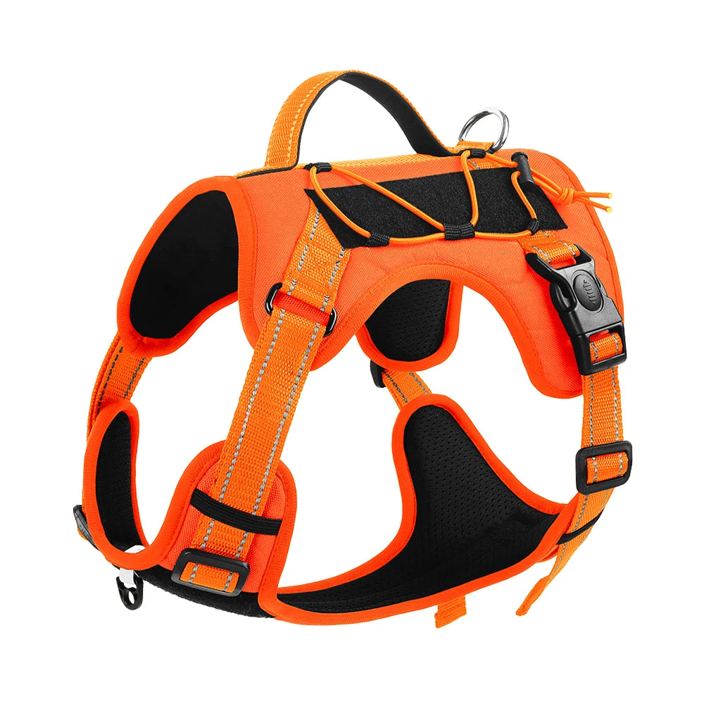 Harnais Multifonction en Nylon pour Chien - Toutes Tailles