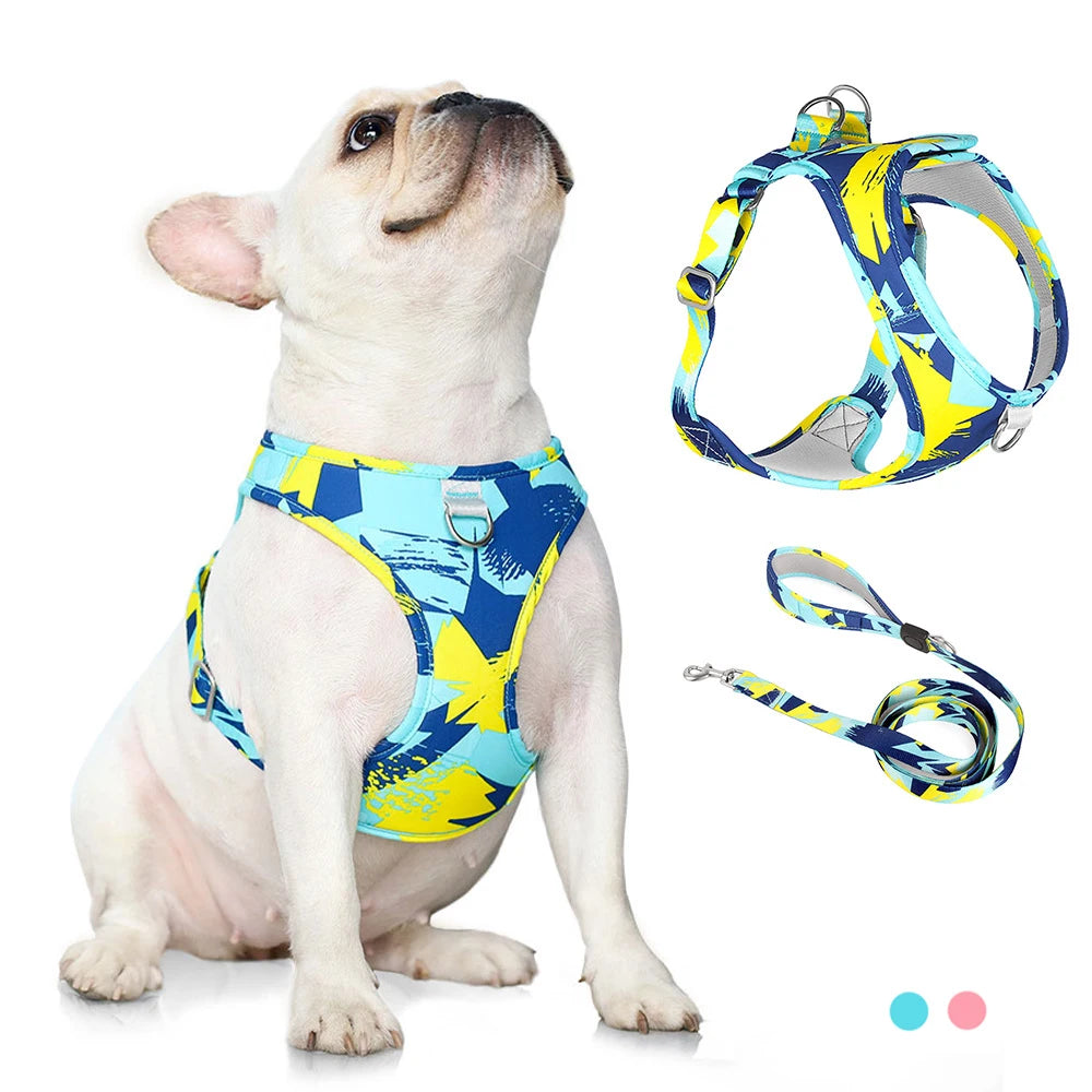 Laisse et Collier Réglables en Maille Polyester - Chien et Chat