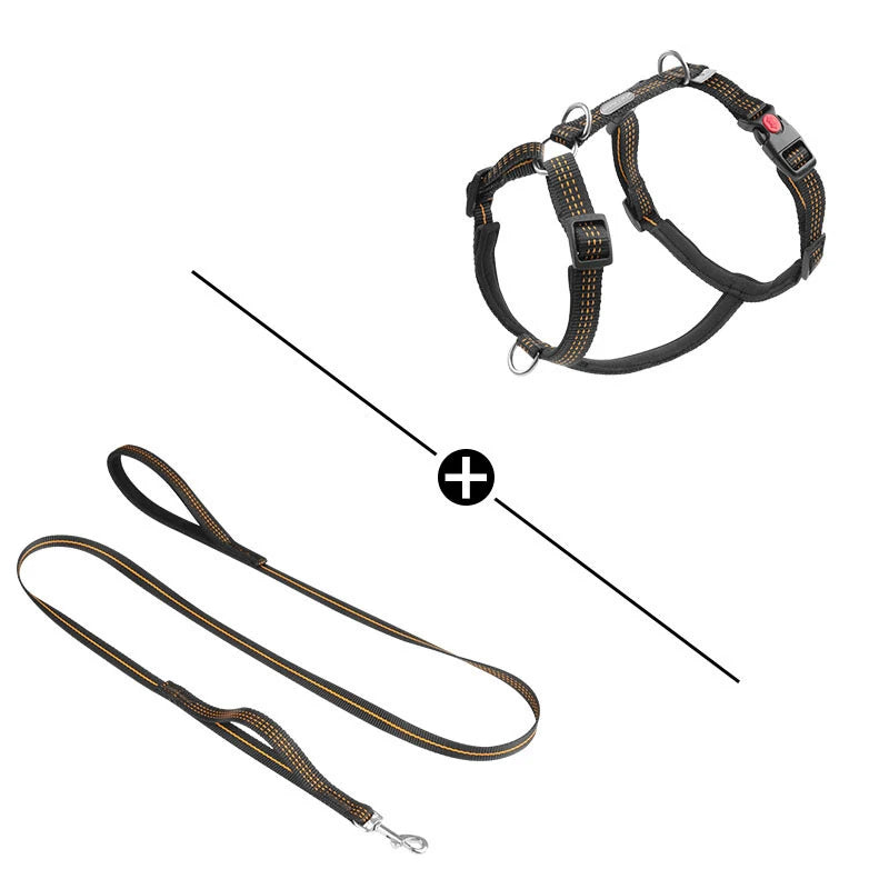 Harnais Type H en Nylon avec 2 Anneaux D - Léger, Anti-Traction