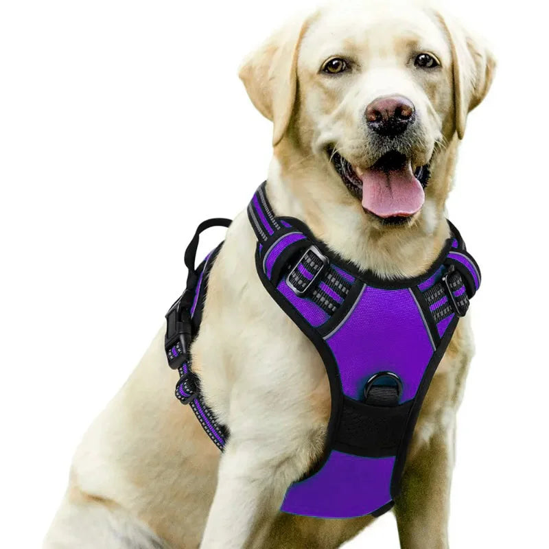 Harnais et Laisse Corde Nylon pour Grand Chien