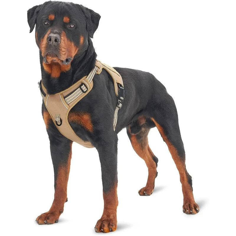 Harnais Tactique Indolore Anti-Traction pour Grand Chien