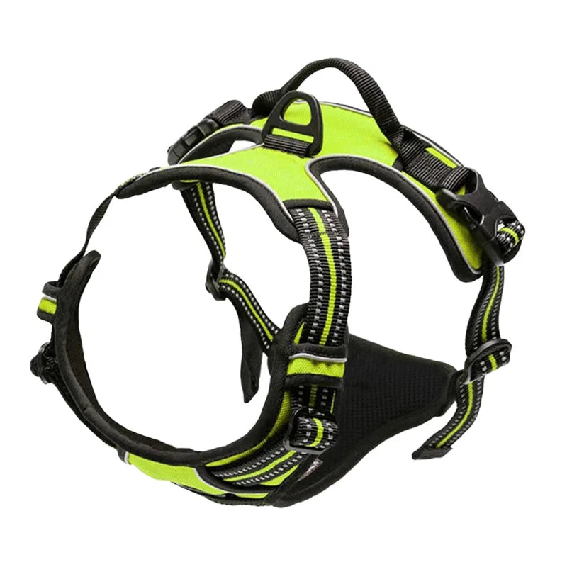 Ensemble Collier, Harnais et Laisse Réfléchissants pour Grand Chien