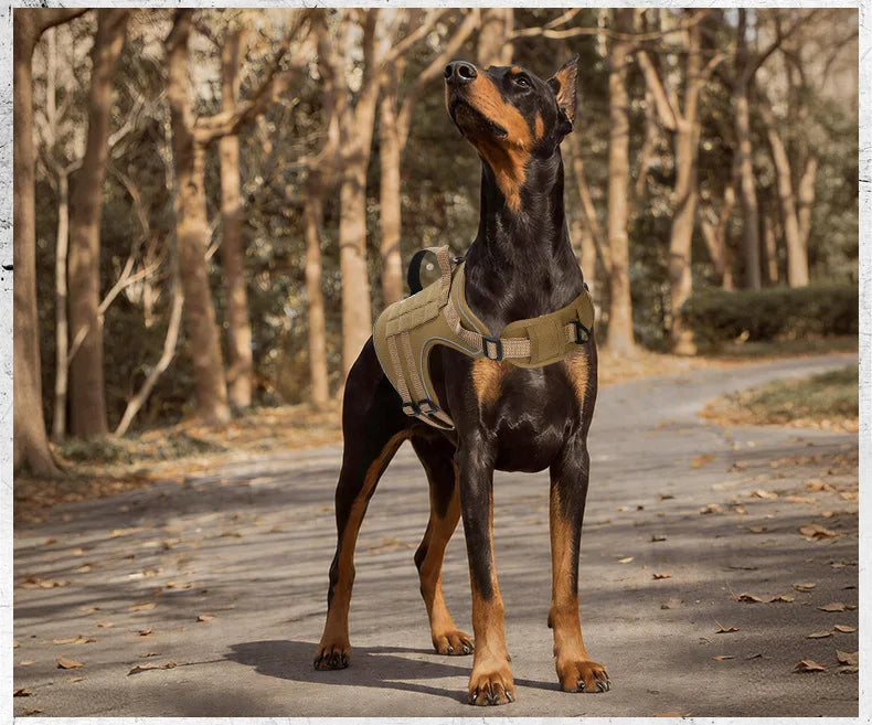 Harnais Tactique 3D Anti-Traction pour Chien Moyen/Grand - Réfléchissant