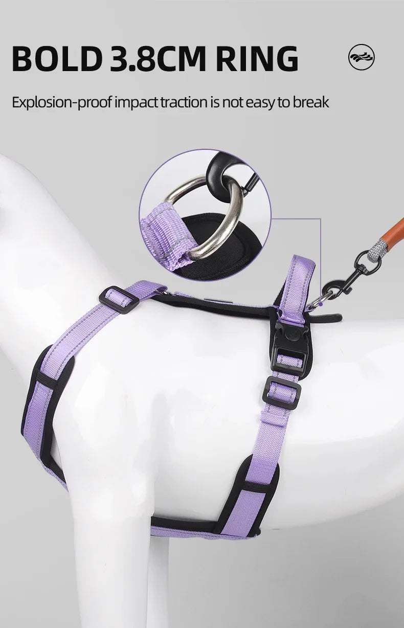 Ensemble Harnais, Laisse et Collier Classique pour Chien