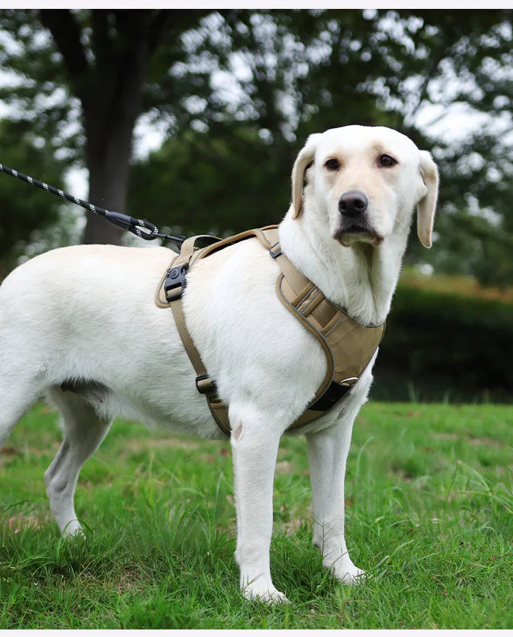 Harnais Compatible AirTag pour Petit Chien - Anti-Perte