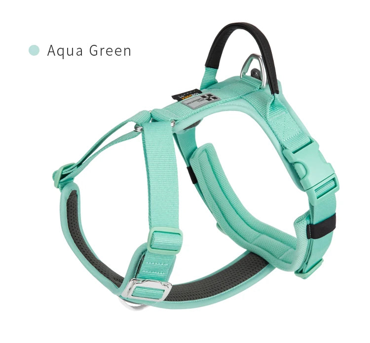 Ensemble Harnais et Laisse Anti-Traction pour Grand Chien