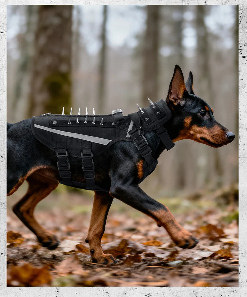 Harnais Tactique Robuste Réfléchissant pour Chien - Entraînement