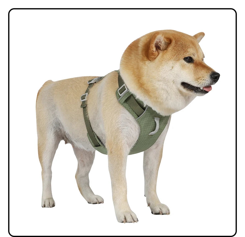 Harnais Anti-Évasion Léger Imperméable pour Chien Moyen - Réfléchissant