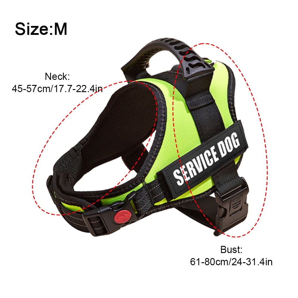 Harnais de Sécurité Sans Traction pour Chiot - Bouledogue, Chihuahua