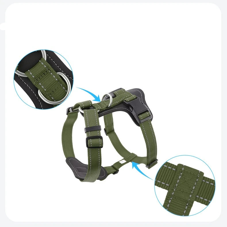 Harnais en Cuir pour Chien - Style Gilet, avec Collier et Laisse