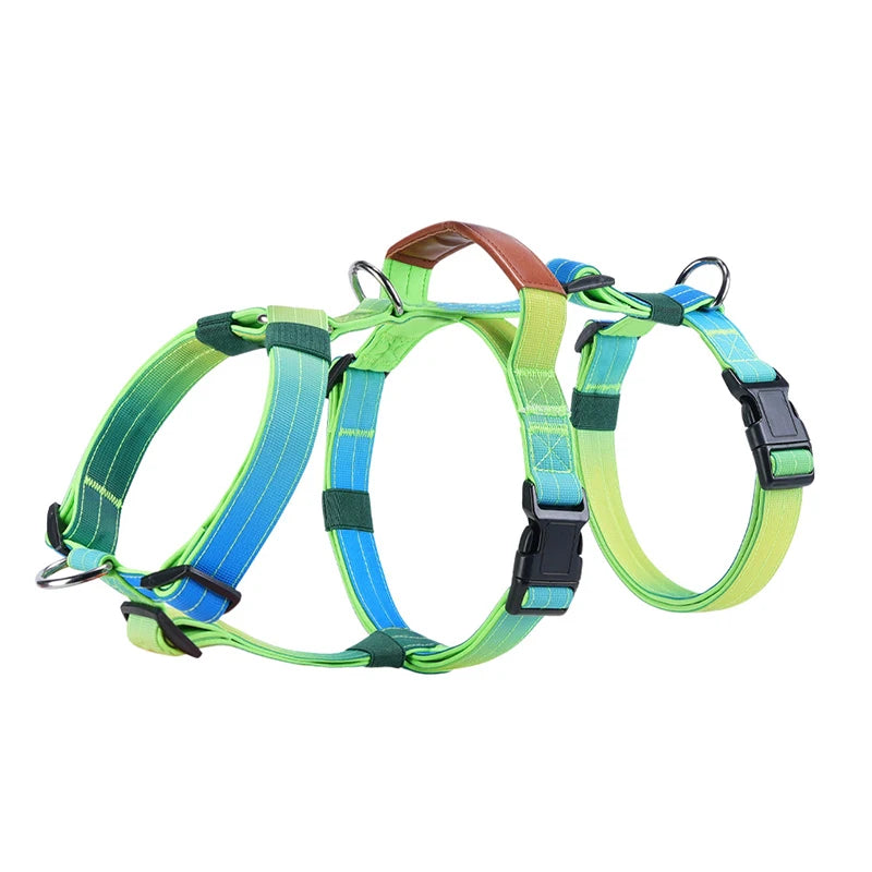 Harnais Anti-Traction Nylon pour Grand Chien - Entraînement