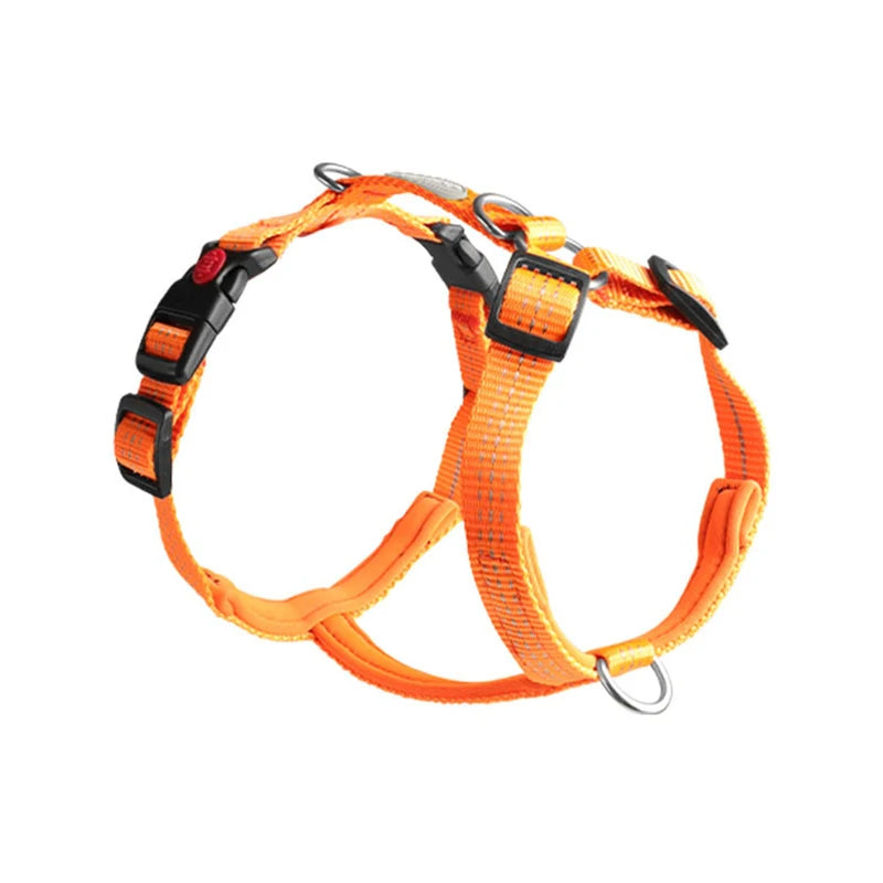 Harnais Type H en Nylon avec 2 Anneaux D - Léger, Anti-Traction