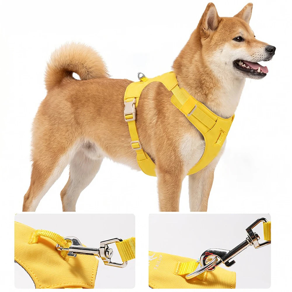 Harnais et Laisse Légers Anti-Traction pour Chien - Toutes Tailles