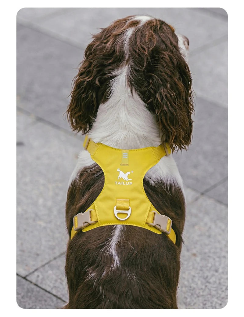 Harnais et Laisse Légers Anti-Traction pour Chien - Toutes Tailles