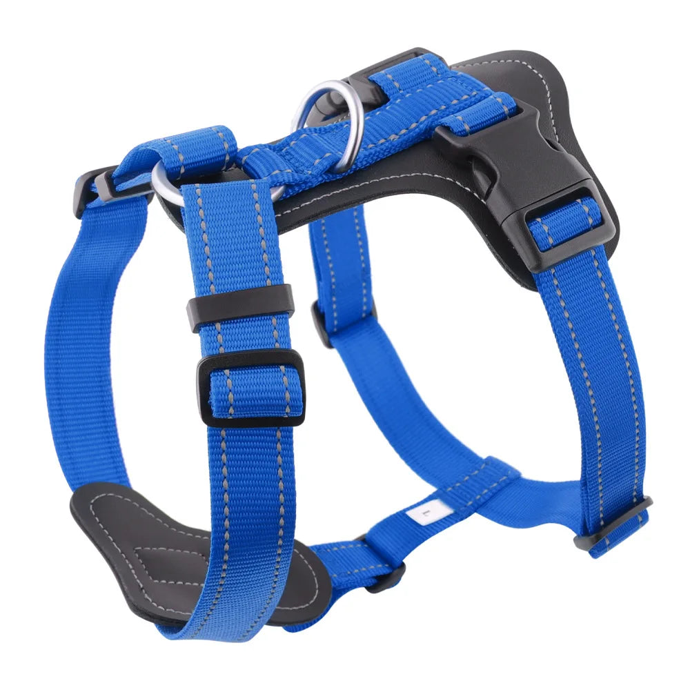 Harnais en Cuir pour Chien - Style Gilet, avec Collier et Laisse