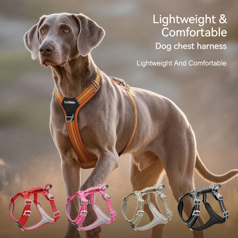 Harnais Anti-Traction Souple et Résistant pour Chien