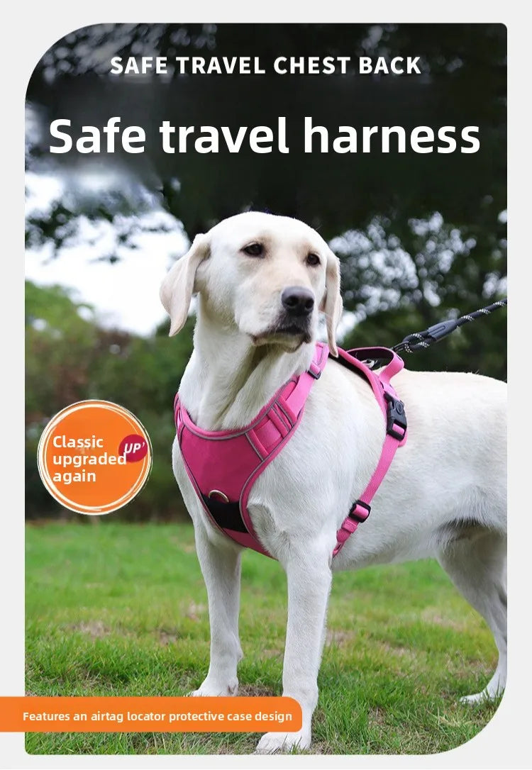 Harnais Compatible AirTag pour Petit Chien - Anti-Perte