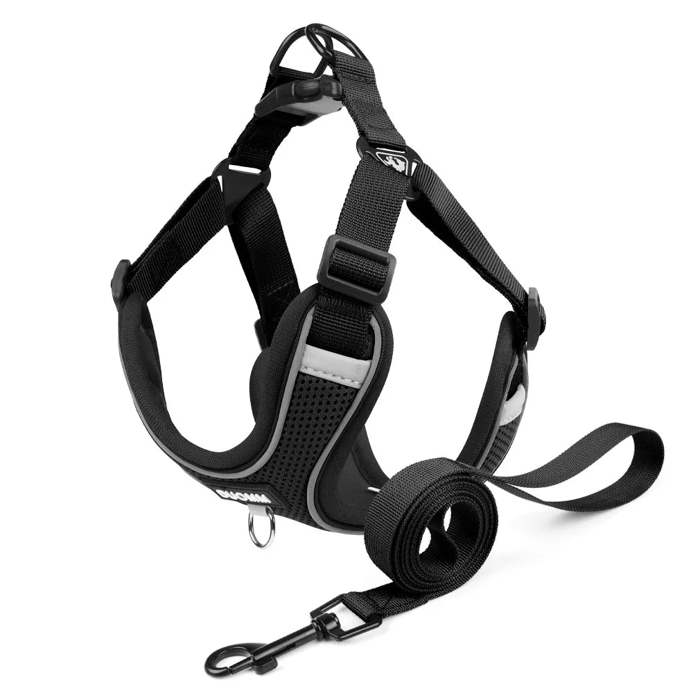 Ensemble Harnais et Laisse Classique et Doux pour Chien - Toutes Races