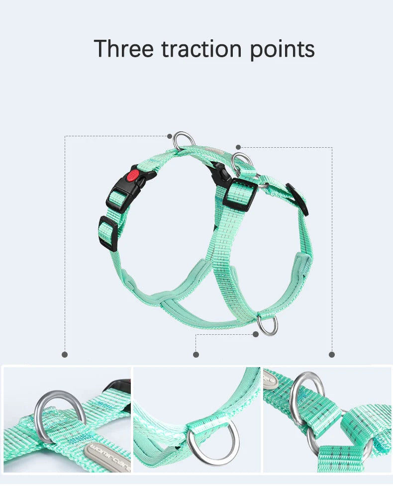Harnais Type H en Nylon avec 2 Anneaux D - Léger, Anti-Traction