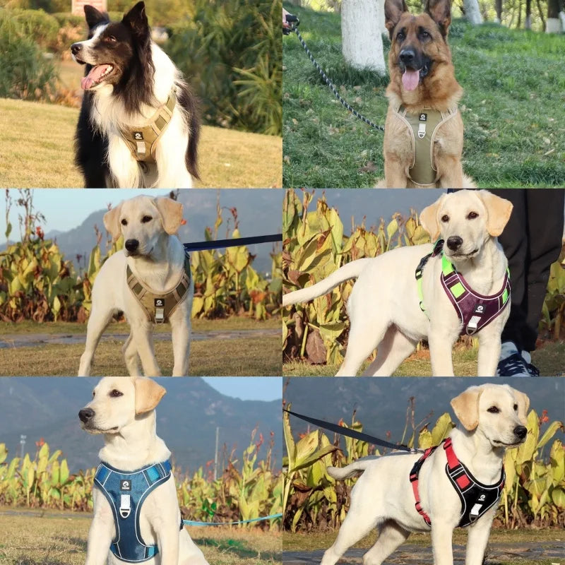 Harnais Oxford Étanche Réfléchissant pour Grand Chien