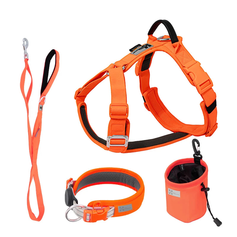 Ensemble Harnais et Laisse Anti-Traction pour Grand Chien