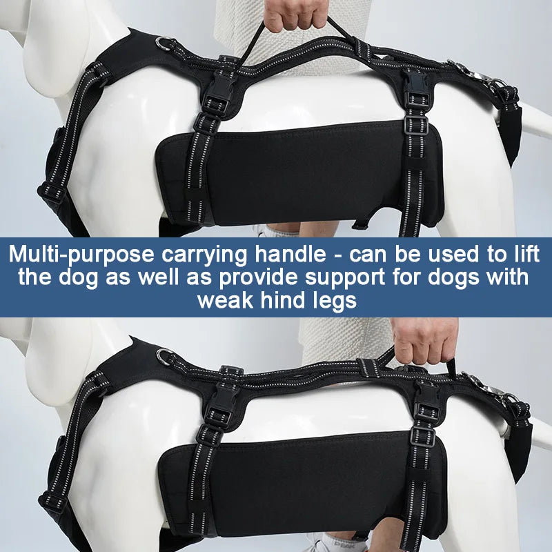 Harnais de Soutien Dorsal Réglable pour Chien - Post-Chirurgical