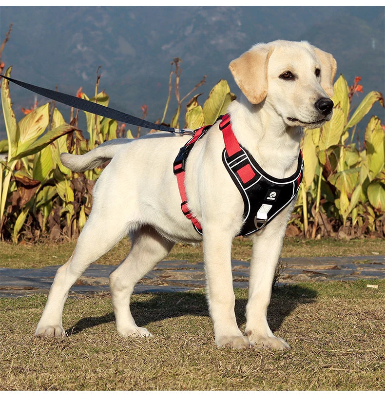 Harnais Tactique Oxford Imperméable Anti-Traction pour Grand Chien