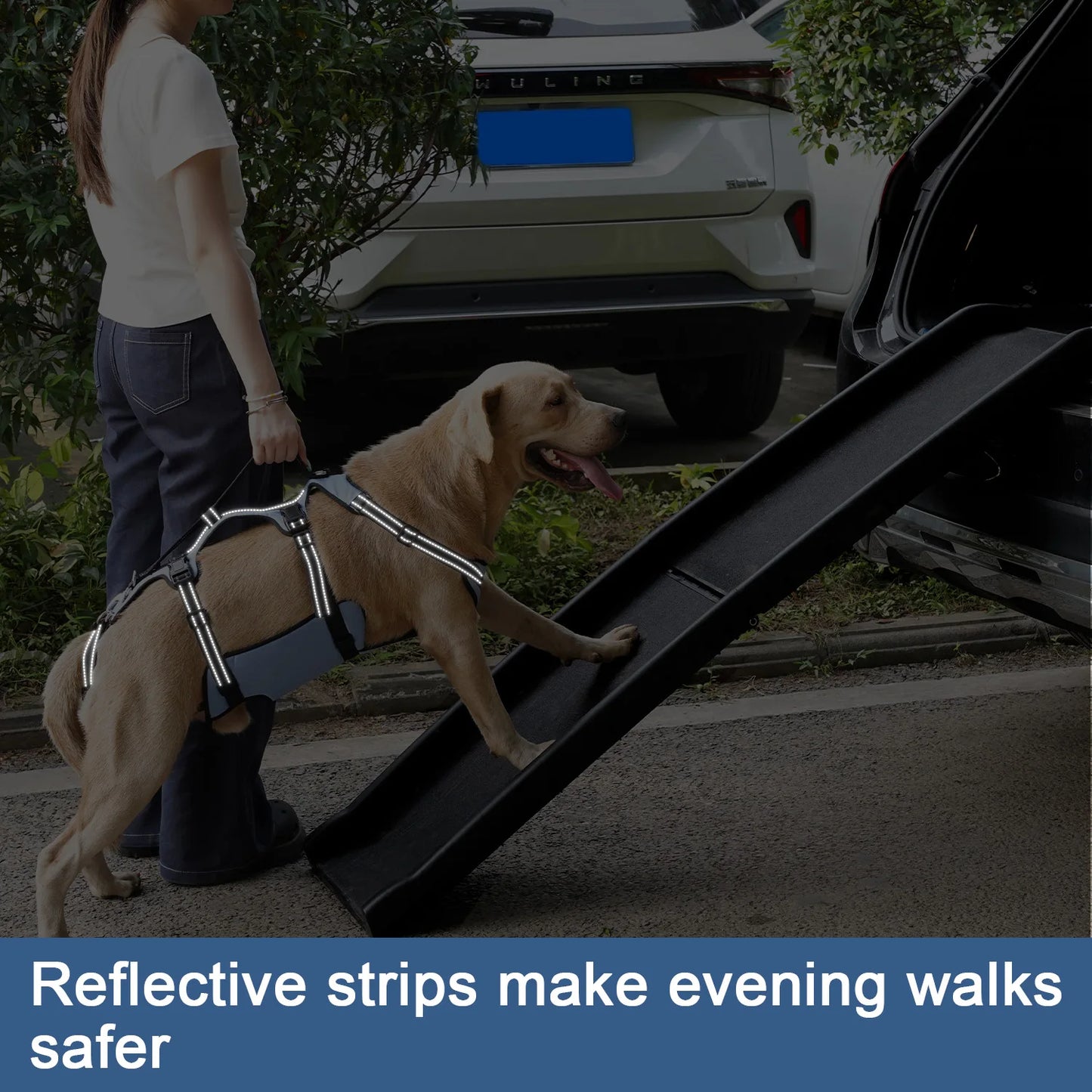 Harnais de Levage COODEO pour Chien - Rééducation, Sangles Réglables