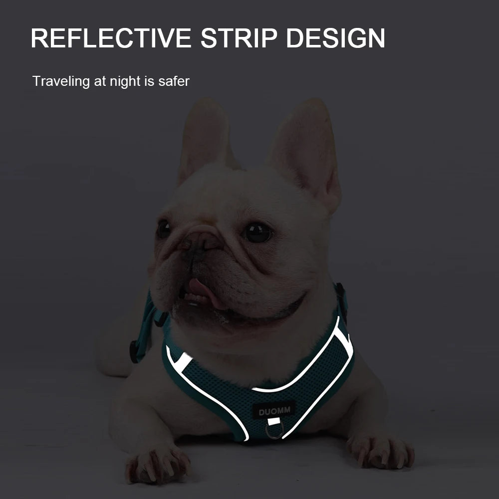 Ensemble Harnais et Laisse Classique et Doux pour Chien - Toutes Races