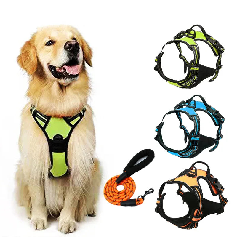 Ensemble Collier, Harnais et Laisse Réfléchissants pour Grand Chien